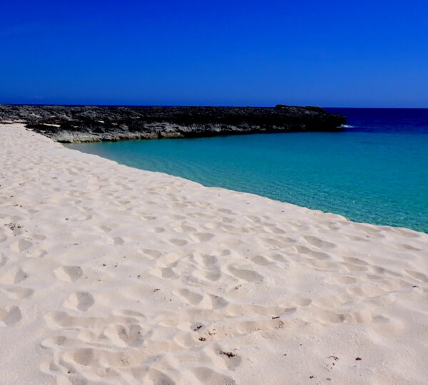 dog_island_anguilla