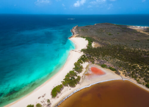 Nature tours Anguilla St Martin Day trip Axopar 29