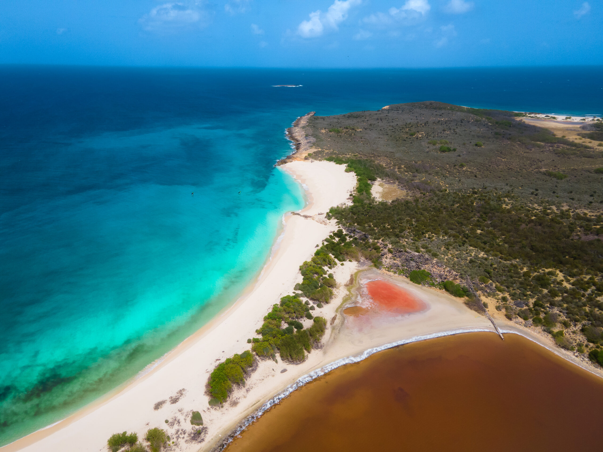 Nature tours Anguilla St Martin Day trip Axopar 29