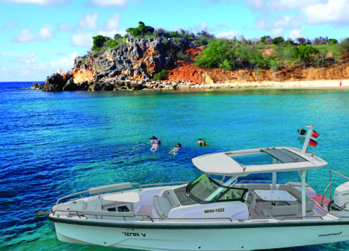 St Martin motorboat tour Axopar 29 (8 persons)