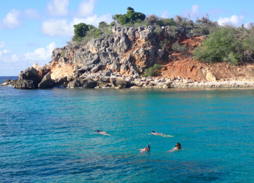 Snorkelling tour 3 hours Zodiac Pro 7 - 5 persons