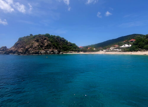 Sea turtles watching tour St Martin + St Barth'day trip Axopar 29