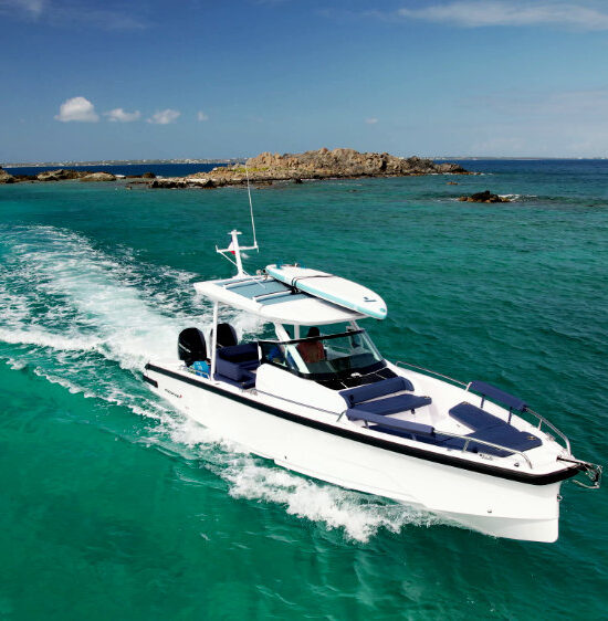 Whales watching motor boat  Axopar 4 hours